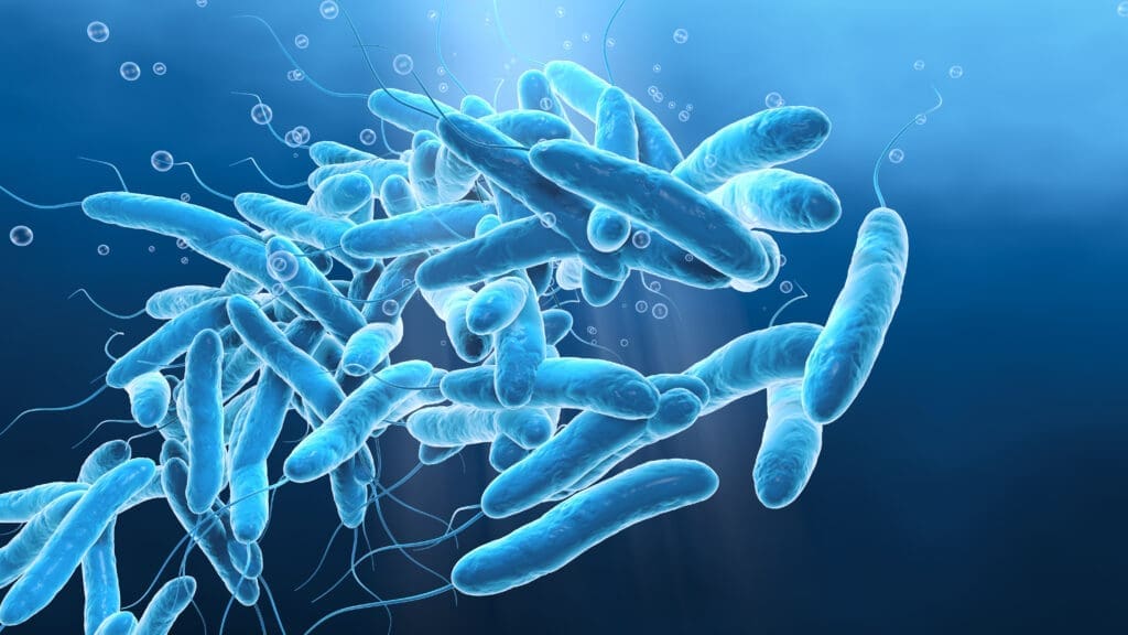 legionella testing services